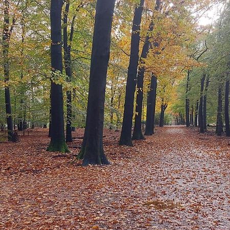 הוילה ביקברחן Chalet Wanama. Gelegen Op Het Vakantiepark Het Lierderholt Op De Veluwe. מראה חיצוני תמונה