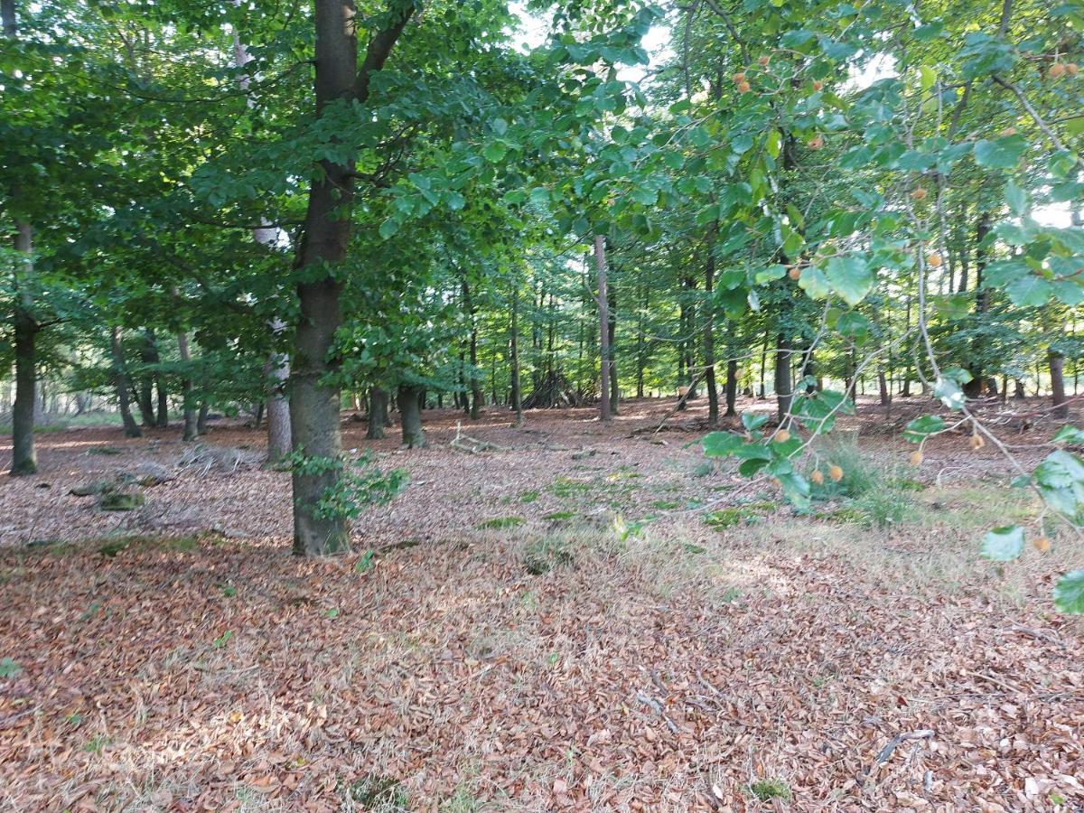 הוילה ביקברחן Chalet Wanama. Gelegen Op Het Vakantiepark Het Lierderholt Op De Veluwe. מראה חיצוני תמונה