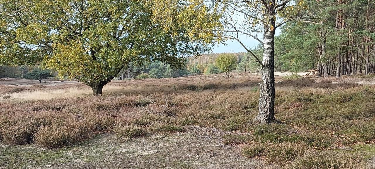 הוילה ביקברחן Chalet Wanama. Gelegen Op Het Vakantiepark Het Lierderholt Op De Veluwe. מראה חיצוני תמונה
