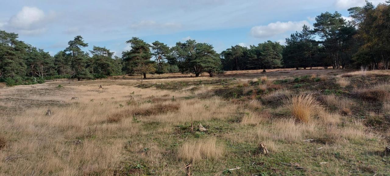 הוילה ביקברחן Chalet Wanama. Gelegen Op Het Vakantiepark Het Lierderholt Op De Veluwe. מראה חיצוני תמונה