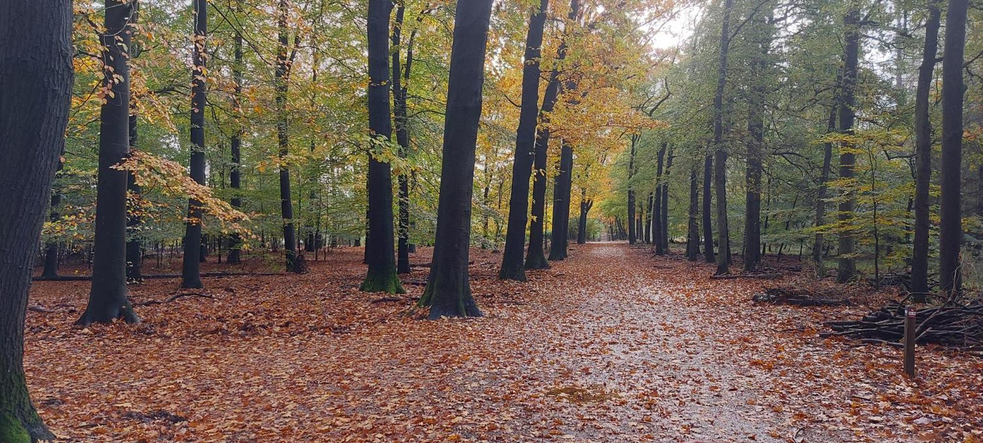 הוילה ביקברחן Chalet Wanama. Gelegen Op Het Vakantiepark Het Lierderholt Op De Veluwe. מראה חיצוני תמונה